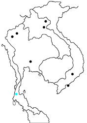 Creon cleobis cleobis map