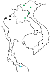 Tajuria yajna selangorana map