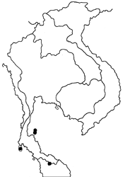 Tajuria dominus dominus map