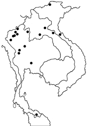 Tajuria maculata map