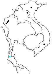 Tajuria albiplaga alixae map