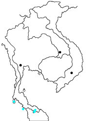 Tajuria deudorix oeta map
