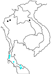 Tajuria isaeus tyro map