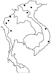 Tajuria diaeus diaeus map
