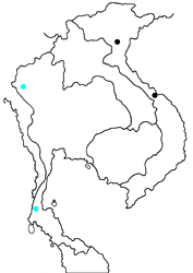 Tajuria megistia thria map