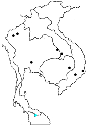Bullis buto cowani map