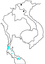 Britomartis cleoboides cleoboides map