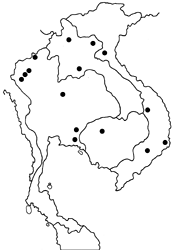 Neocheritra fabronia fabronia map