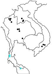 Pseudotajuria donatana donatana map