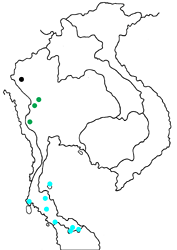 Hypolycaena merguia watsoni map