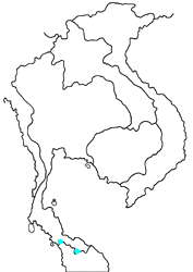 Hypolycaena tora semanga map