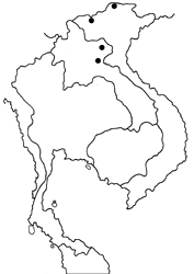Virachola dohertyi ssp. map