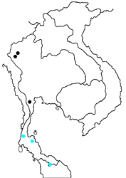 Virachola subguttata subguttata  map