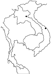 Virachola sankakuhonis hainana map