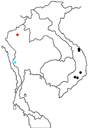 Virachola vietnamica vietnamica map