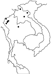 Virachola refulgens map