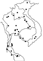 Bindahara phocides phocides map