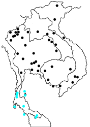 Rapala manea chozeba map
