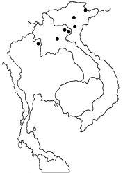 Rapala tara map