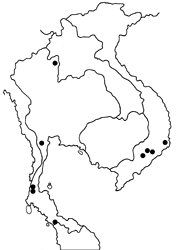 Hasora salanga map