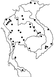 Hasora chromus chromus map