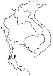 Hasora leucospila leucospila map