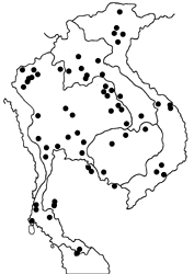 Badamia exclamationis map