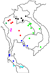 Capila phanaeus decoloris map
