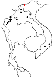 Lobocla liliana liliana map