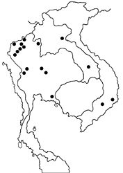 Celaenorrhinus affinis map