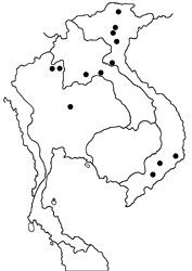 Aurivittia vietnamicus map