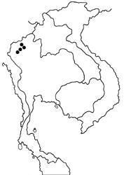 Pseudocoladenia fatua map