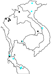 Coladenia agni sundae map