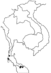 Seseria affinis kirmana map