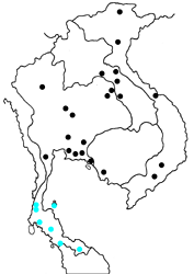 Tagiades parra naxos map