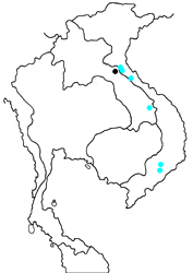 Abraximorpha davidii davidii map