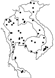 Abaratha angulata angulata map