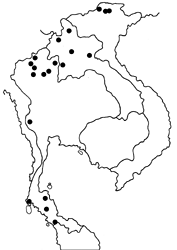 Ampittia subvittatus subvittatus map