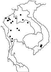 Halpemorpha albipectus map