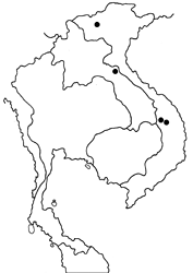Pedesta xiaoqingae map