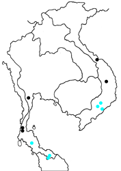 Halpe pelethronix pagaia map
