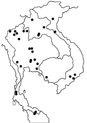 Pithauria stramineipennis stramineipennis map