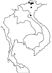 Isoteinon lamprospilus formosanus map