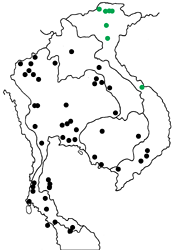 Tamela nigrita maura map
