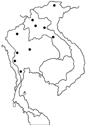 Scobura cephaloides kinka map