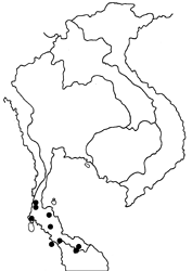 Pyroneura latoia latoia map