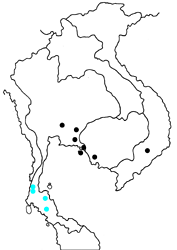 Pyroneura callineura donatana map