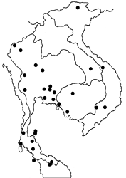 Plastingia naga map