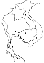 Salanoemia tavoyana tavoyana map