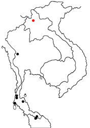 Xanthoneura corissa indrasana map
